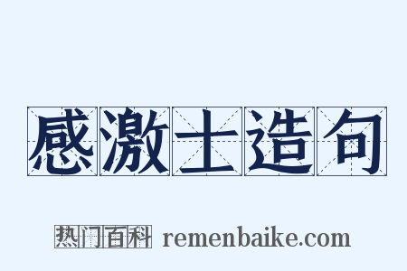 感激士造句是什么意思的图片
